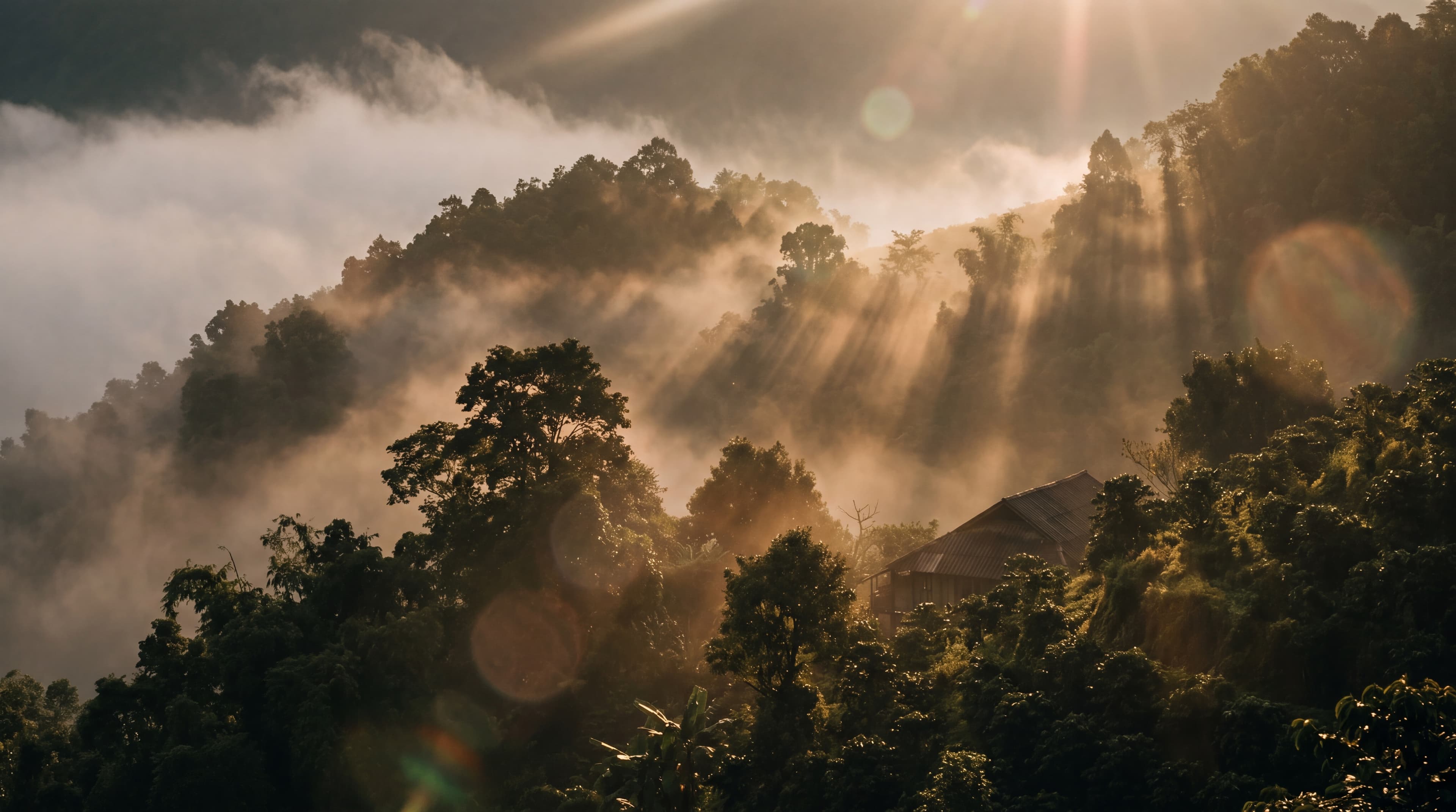 Arabica Thung Lũng Sương 2