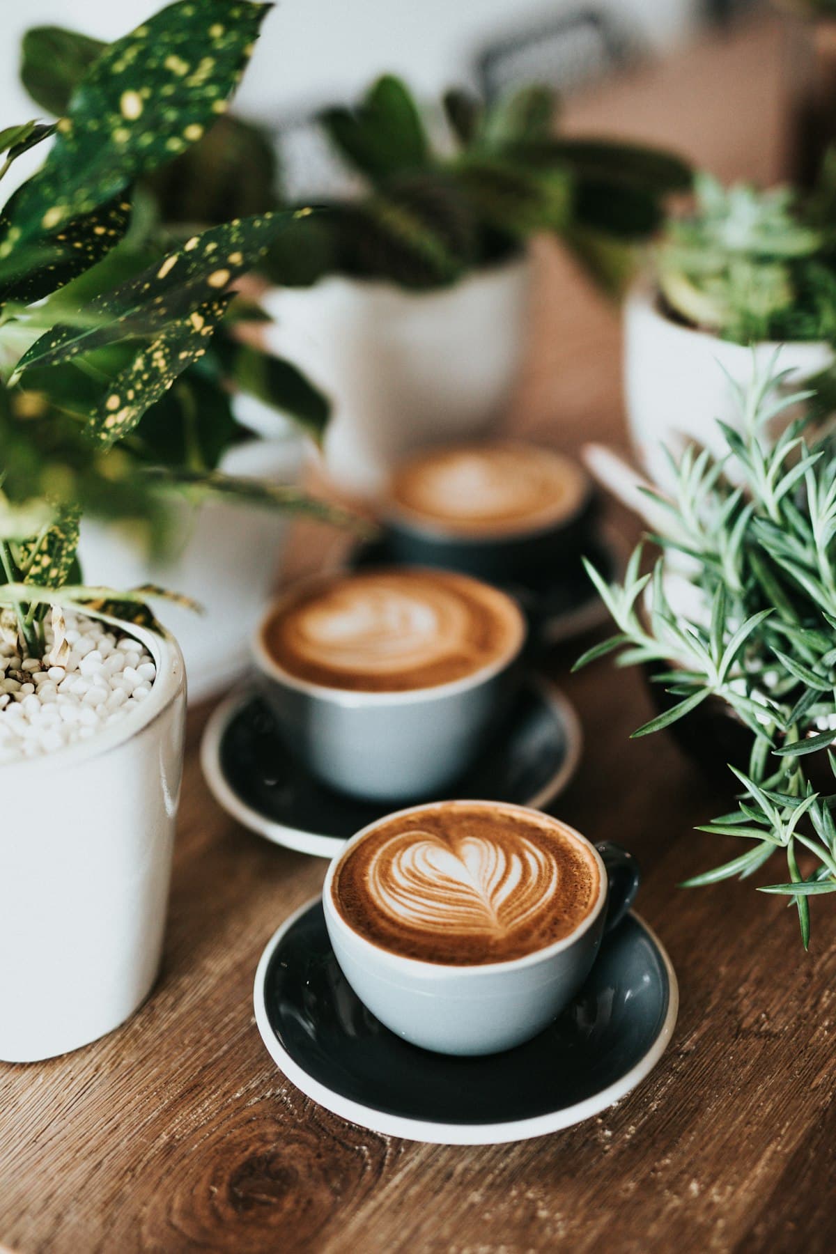 Nghệ thuật Sơ chế ướt tại các trang trại Wecacha